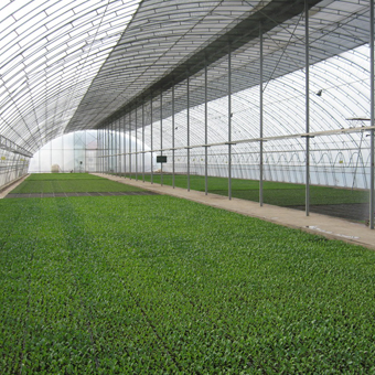 高科技蔬菜大棚建设